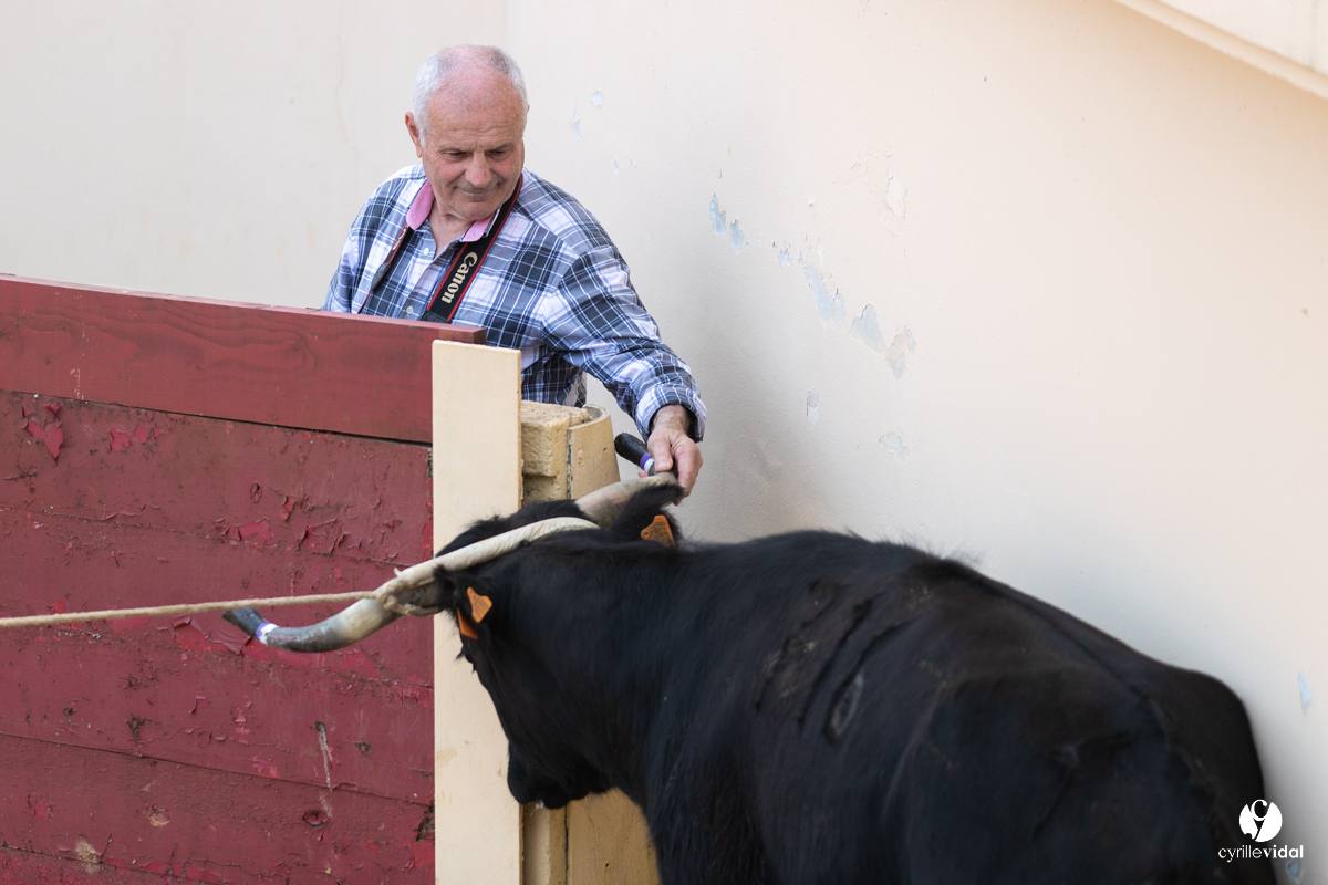 Course landaise Le Houga Ganadéria Dussau Cuadrilla Alexandre Brethes