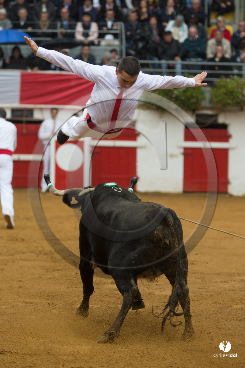 Nogaro Championnatde France de Course Landaise 2017