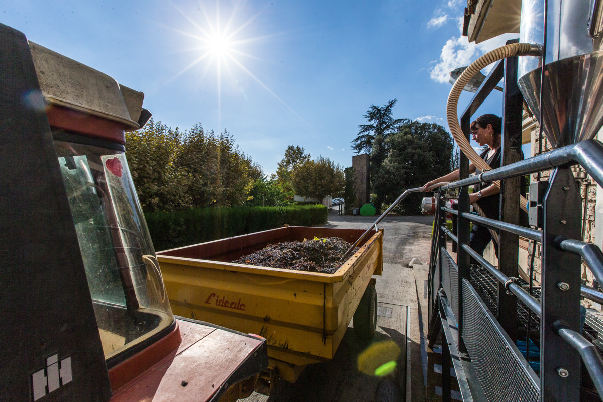 Cave de Labastide de Lévis