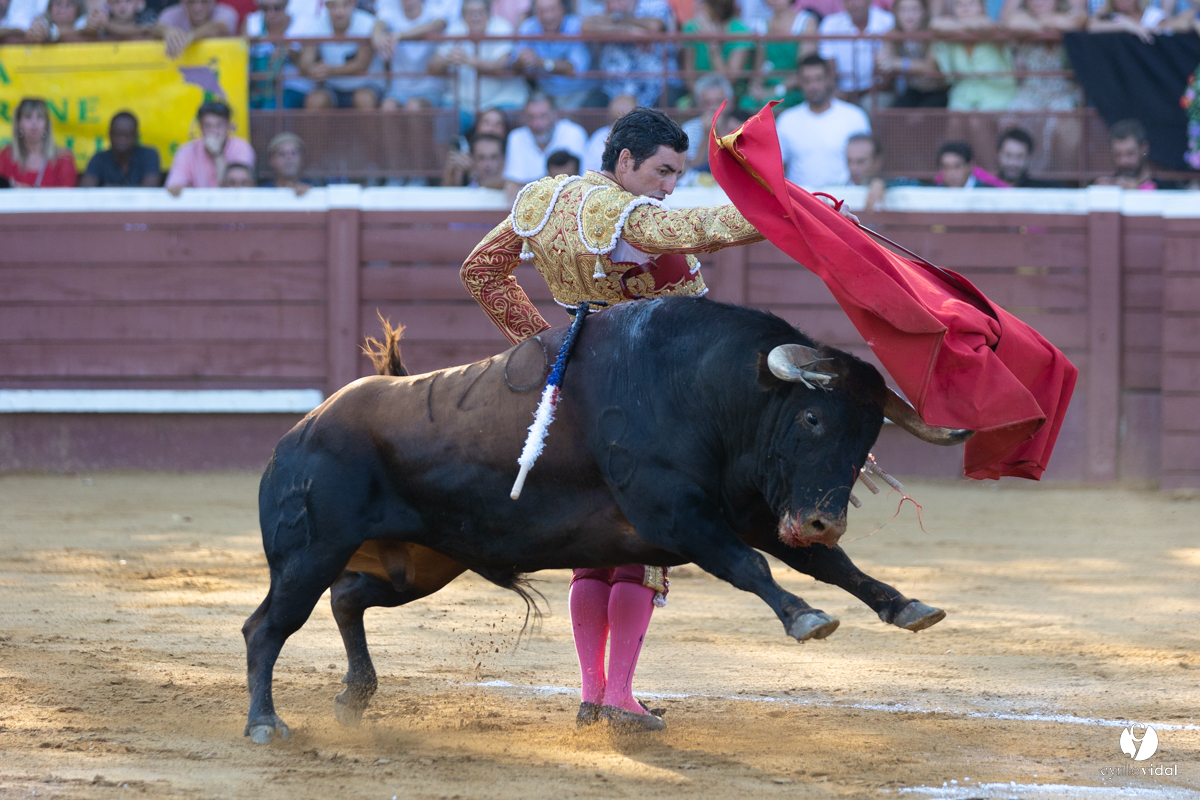 Corrida de Villeneuve-de-Marsan
