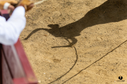 Saint-Cricq Chalosse course landaise de promotion Ganadéria Deyris Cuadrilla Jérémy Lafitte