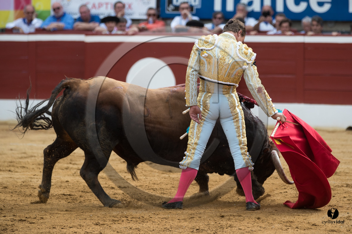 Mont-de-Marsan corrida de Garcigrande pour El Juli et Juan Bautista