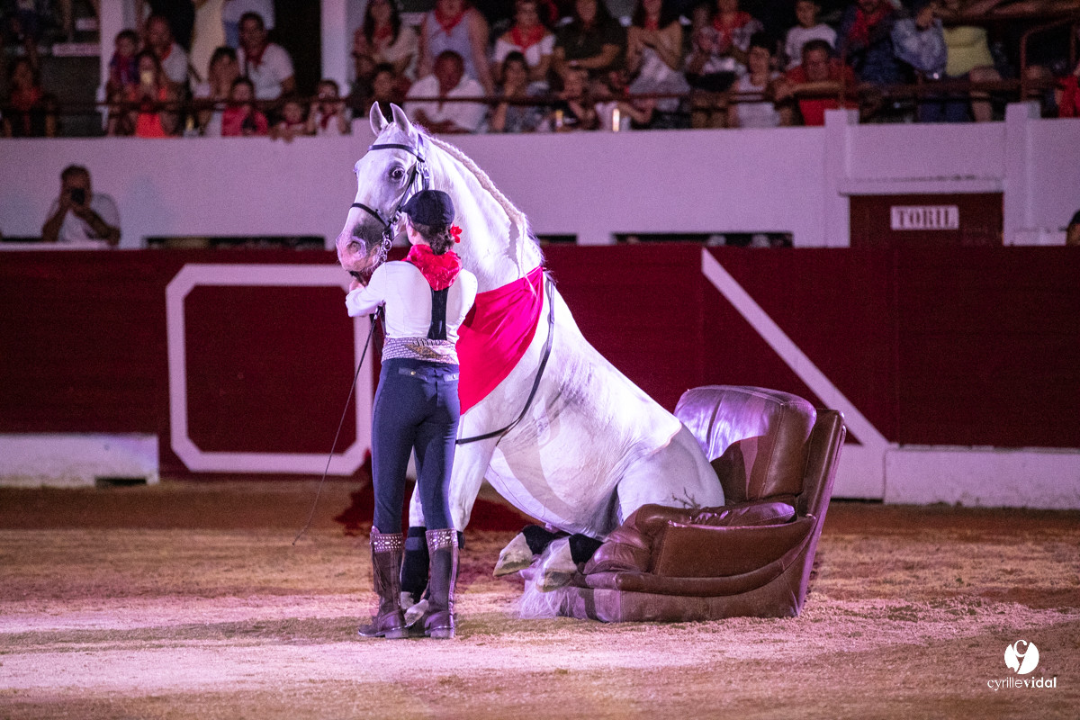 Landes émotions à Aire-sur-l'Adour