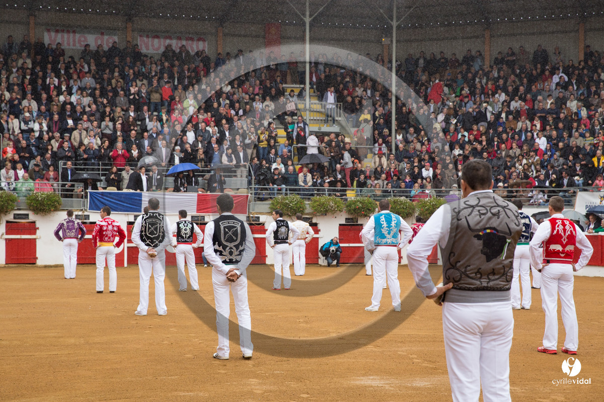 Nogaro Championnatde France de Course Landaise 2017