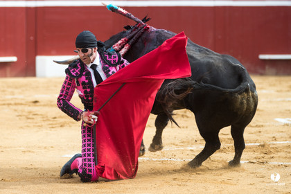 Mont-de-Marsan corrida de Jandilla pour Padilla - Talavante - Roca Rey