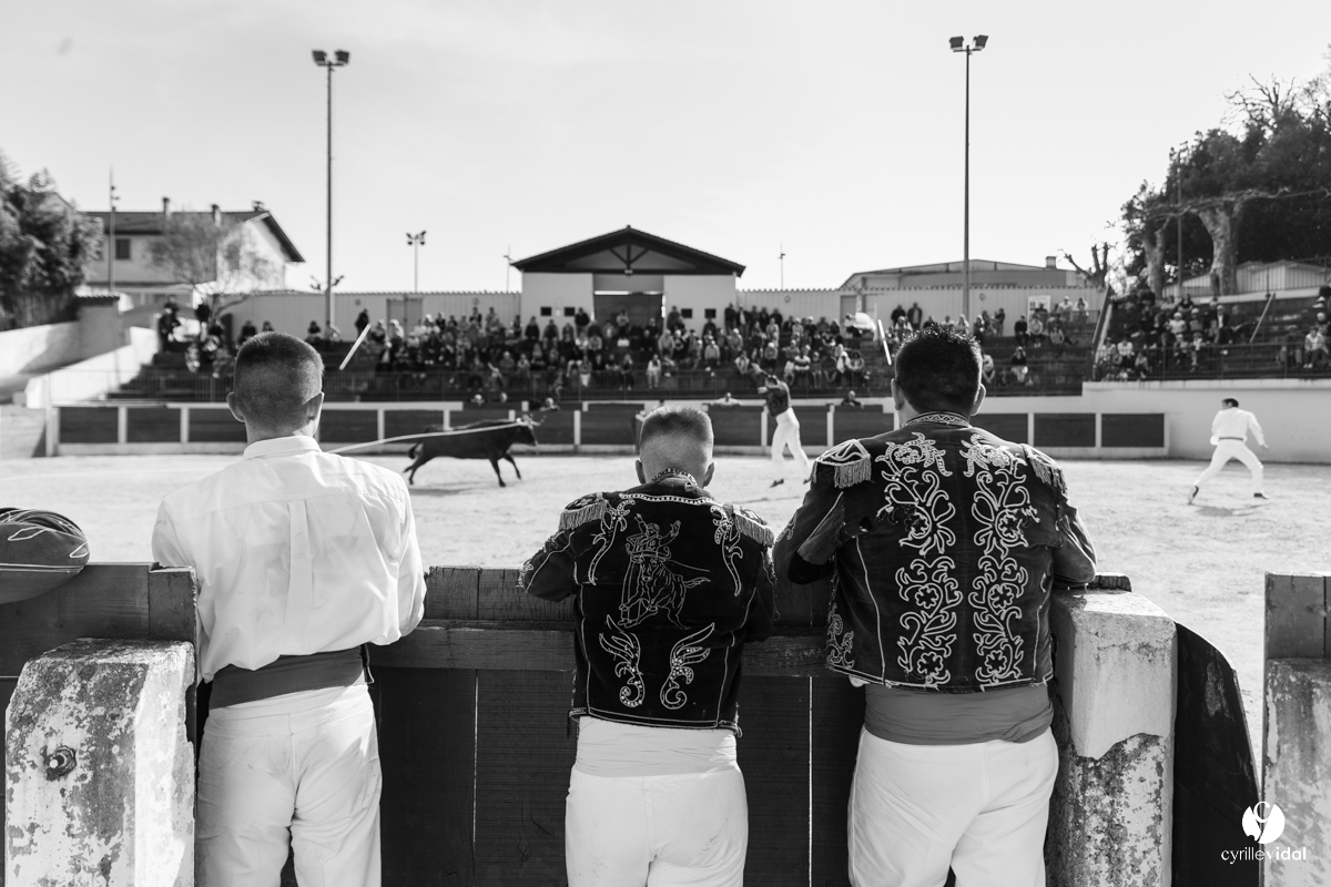 Course landaise Le Houga Ganadéria Dussau Cuadrilla Alexandre Brethes