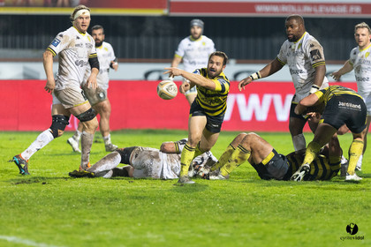Stade Montois Rugby - Carcassonne