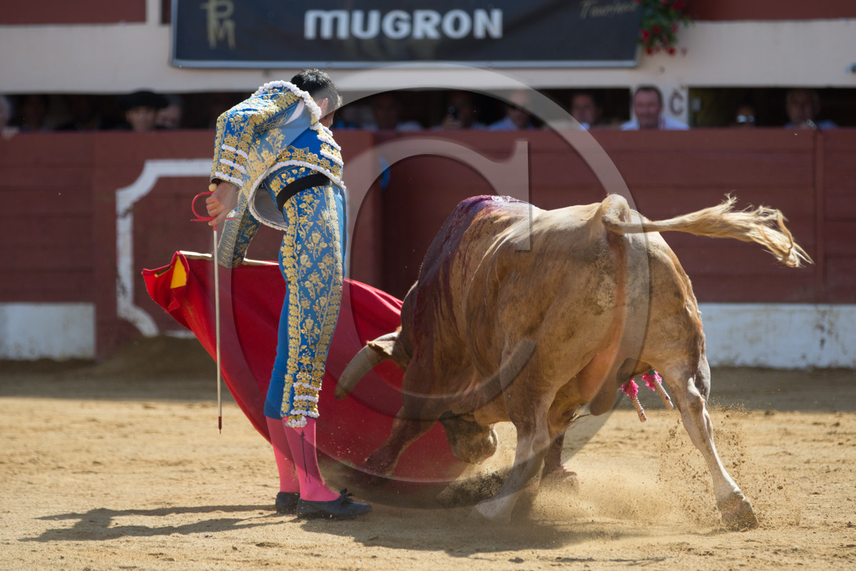 corrida, toro, vic fezensac, alcurrucen, michelito, morenito de aranda