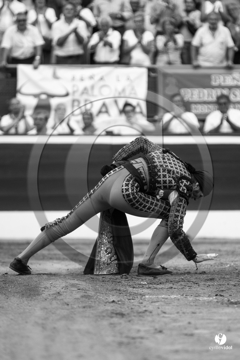 Mont-de-Marsan corrida de Jandilla pour Padilla - Talavante - Roca Rey