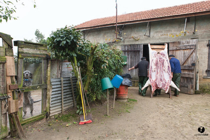 Jours de pelère