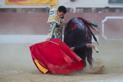 corrida, toro, vic fezensac, alcurrucen, michelito, morenito de aranda