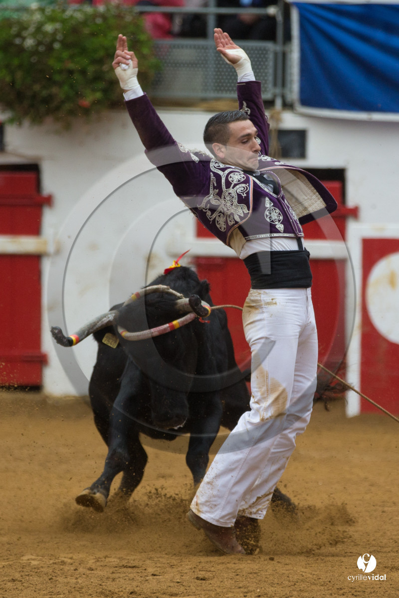 Nogaro Championnatde France de Course Landaise 2017