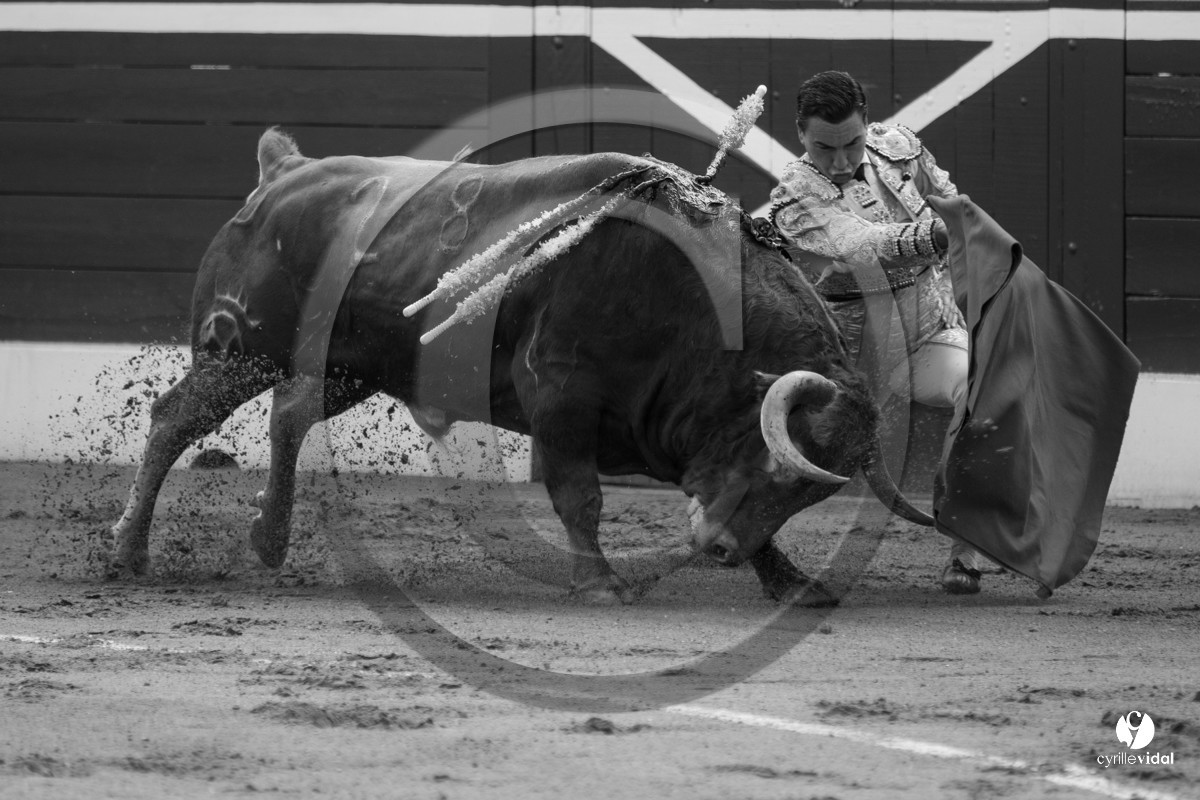 Mont-de-Marsan corrida de Dolores Aguirre pour Octavio Chacon - Pepe Moral - Juan Léal