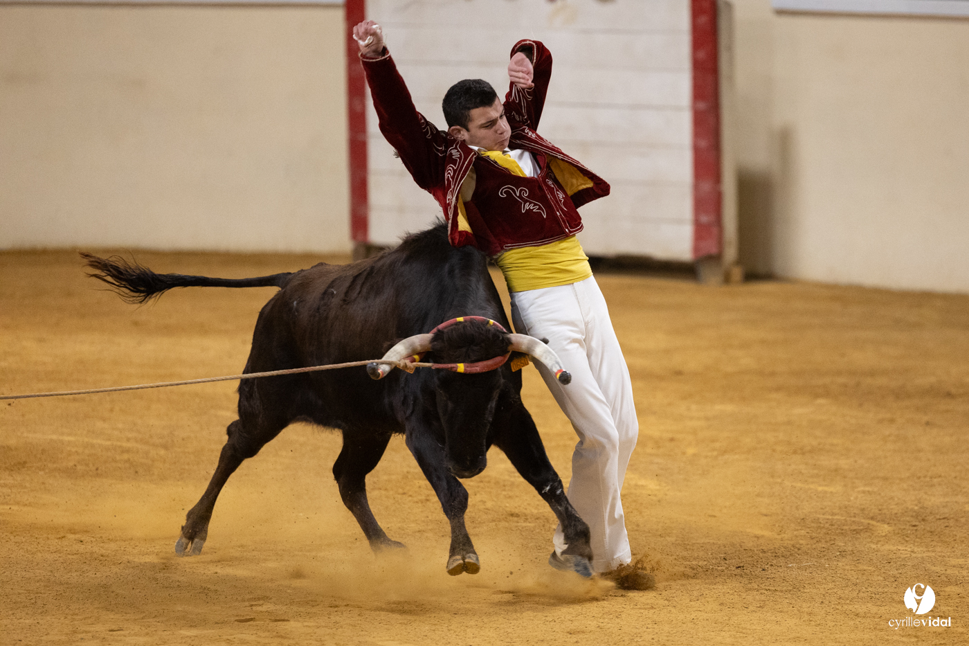 Horsarrieu course landaise du boléro d'Argent