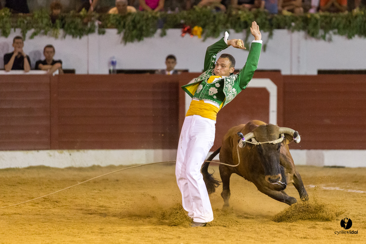 Aire sur l'Adour course landaise génération Aturine