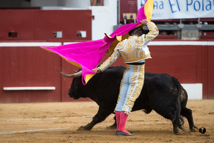 Mont-de-Marsan corrida de Garcigrande pour El Juli et Juan Bautista