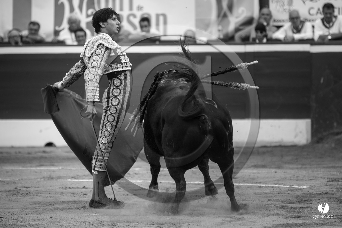 Mont-de-Marsan corrida de Jandilla pour Padilla - Talavante - Roca Rey
