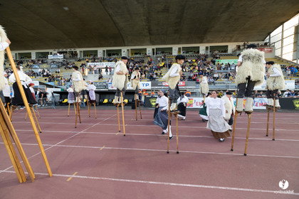 Stade Montois Rugby - Rouen