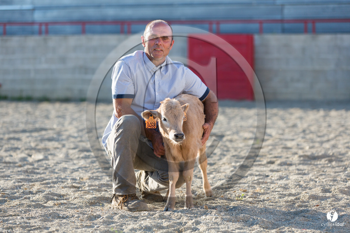 Photos du livre Ganadère landais en 2020