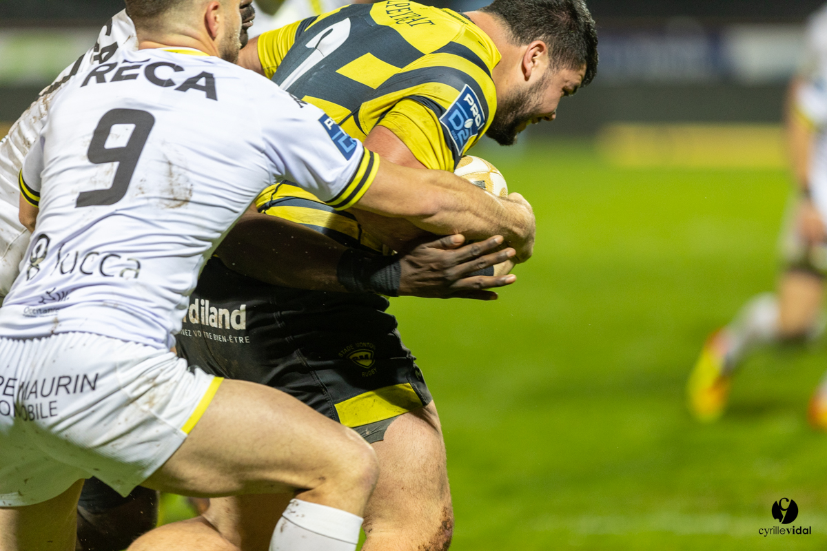 Stade Montois Rugby - Carcassonne