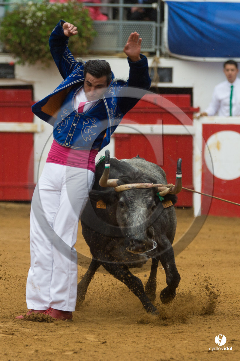 Nogaro Championnatde France de Course Landaise 2017