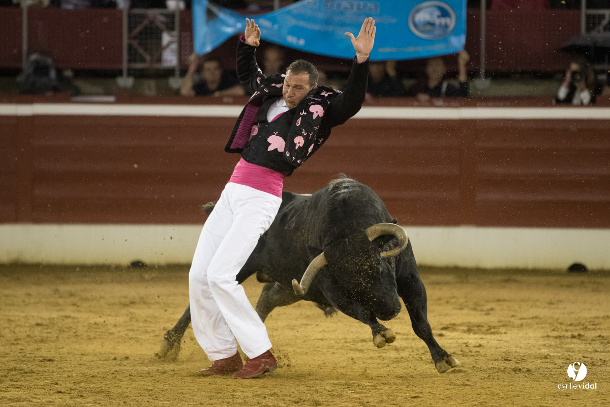 Mont-de-Marsan festival Art et Courage