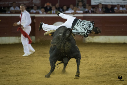 Mont-de-Marsan festival Art et Courage