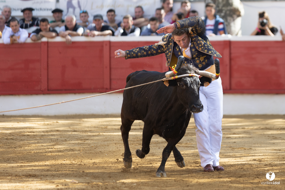 Nogaro Championnat de France de course landaise 2022