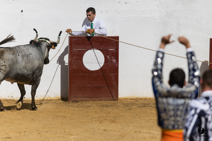 Saint-Cricq Chalosse course landaise de promotion Ganadéria Deyris Cuadrilla Jérémy Lafitte