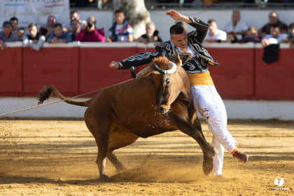 Nogaro Championnat de France de course landaise 2022