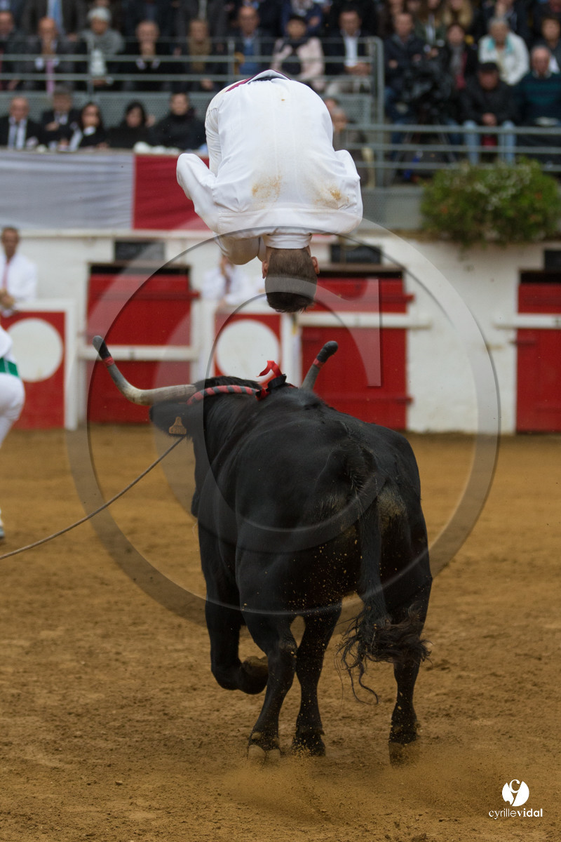 Nogaro Championnatde France de Course Landaise 2017