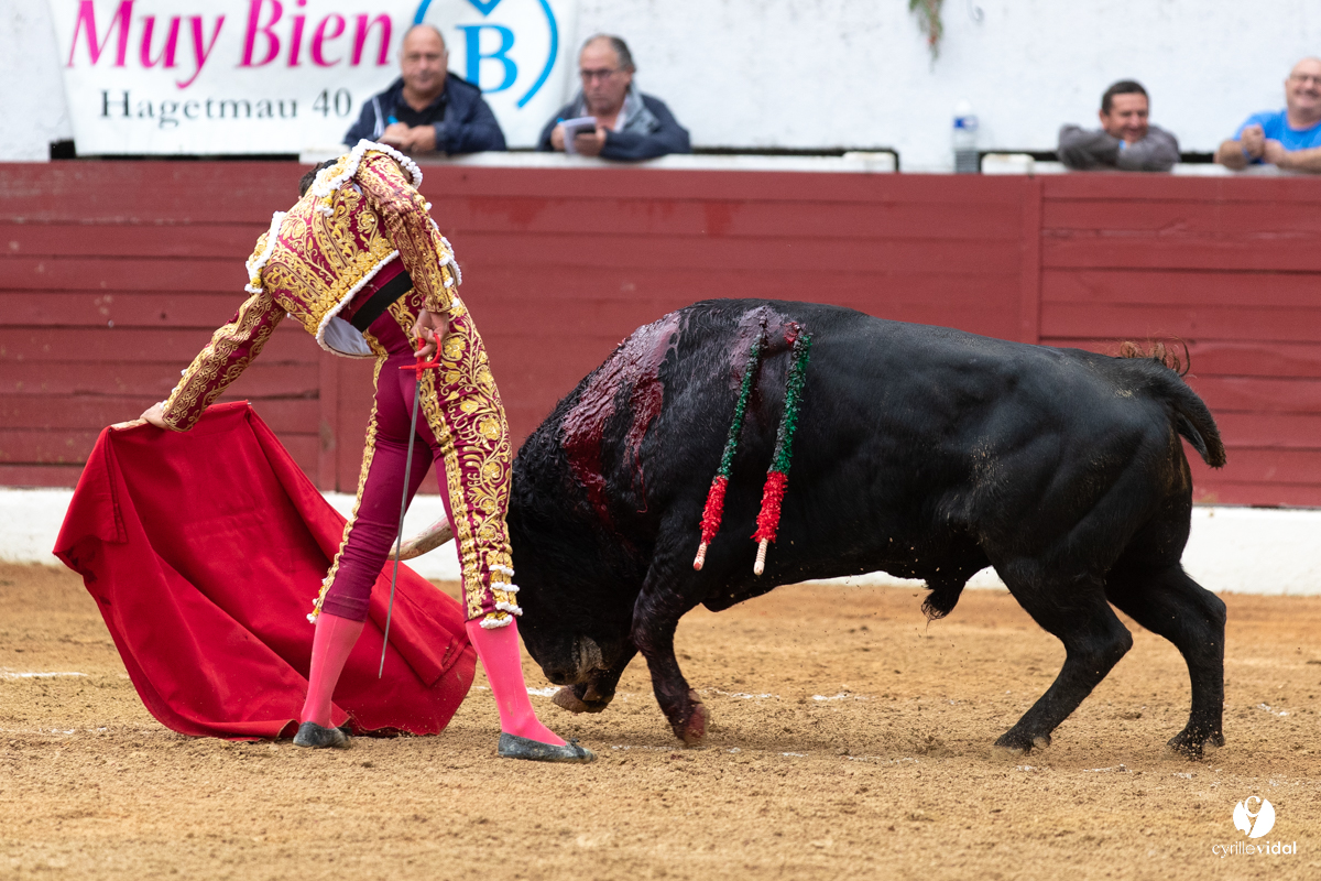 Corrida d'Aire sur l'Adour
