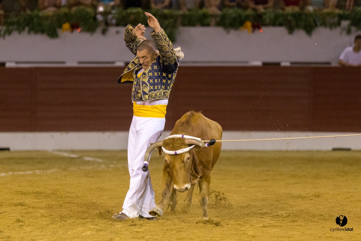 Aire sur l'Adour course landaise génération Aturine