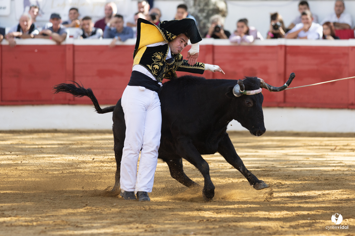 Nogaro Championnat de France de course landaise 2022