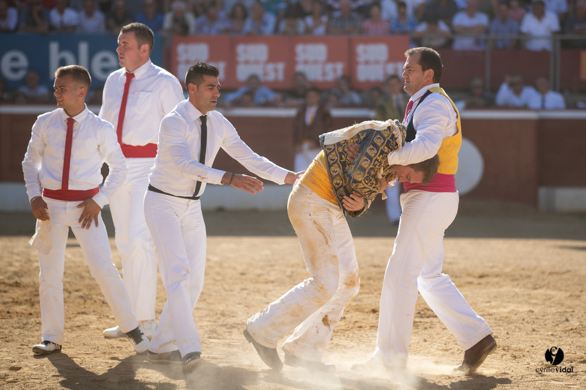 Mont-de-Marsan championnat de France de course landaise 2019