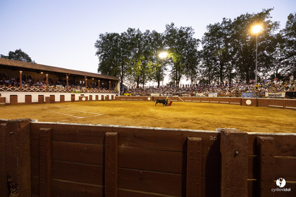 Corrida de Villeneuve-de-Marsan