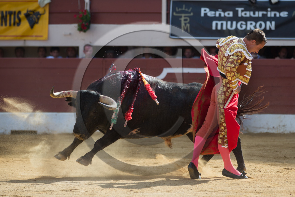 corrida, toro, vic fezensac, alcurrucen, michelito, morenito de aranda