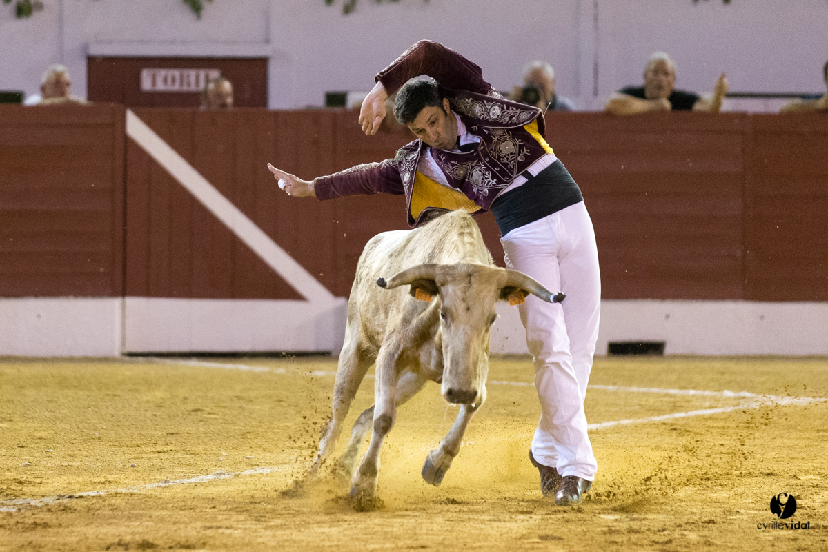 Aire sur l'Adour course landaise génération Aturine