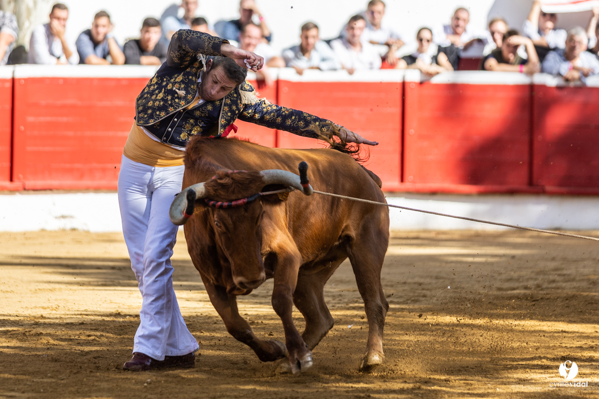 Nogaro Championnat de France de course landaise 2022