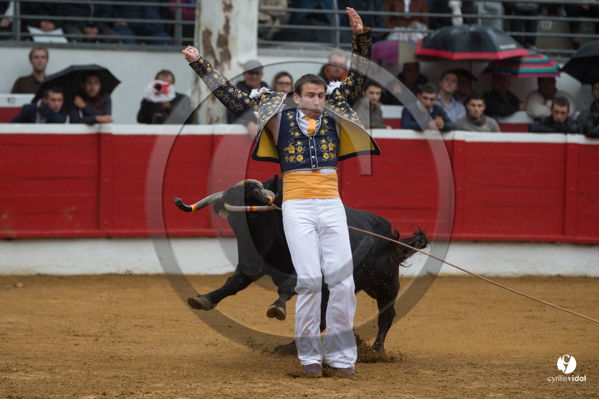 Nogaro Championnatde France de Course Landaise 2017