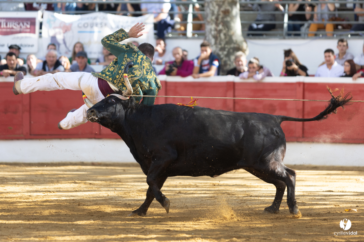 Nogaro Championnat de France de course landaise 2022