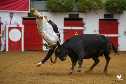 Nogaro Championnatde France de Course Landaise 2017
