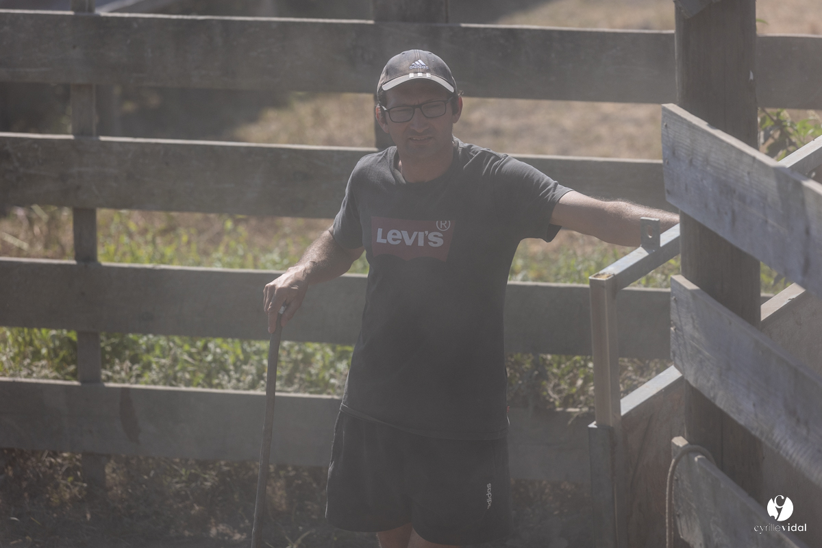 Course landaise à Panjas