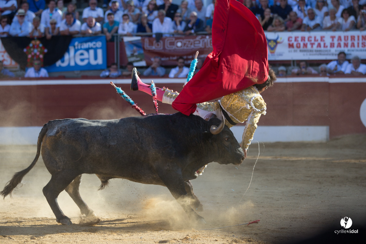 Mont-de-Marsan corrida d'Adolfo Martin