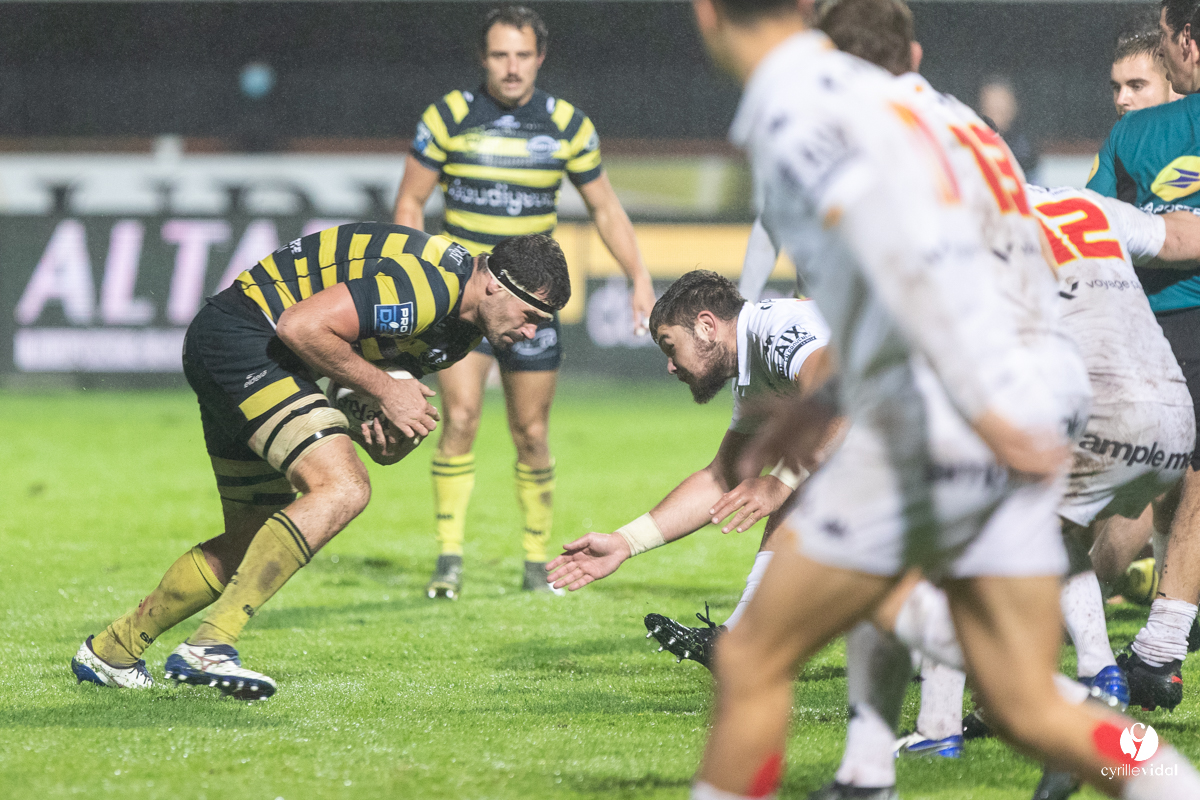 Stade Montois Rugby - Provence
