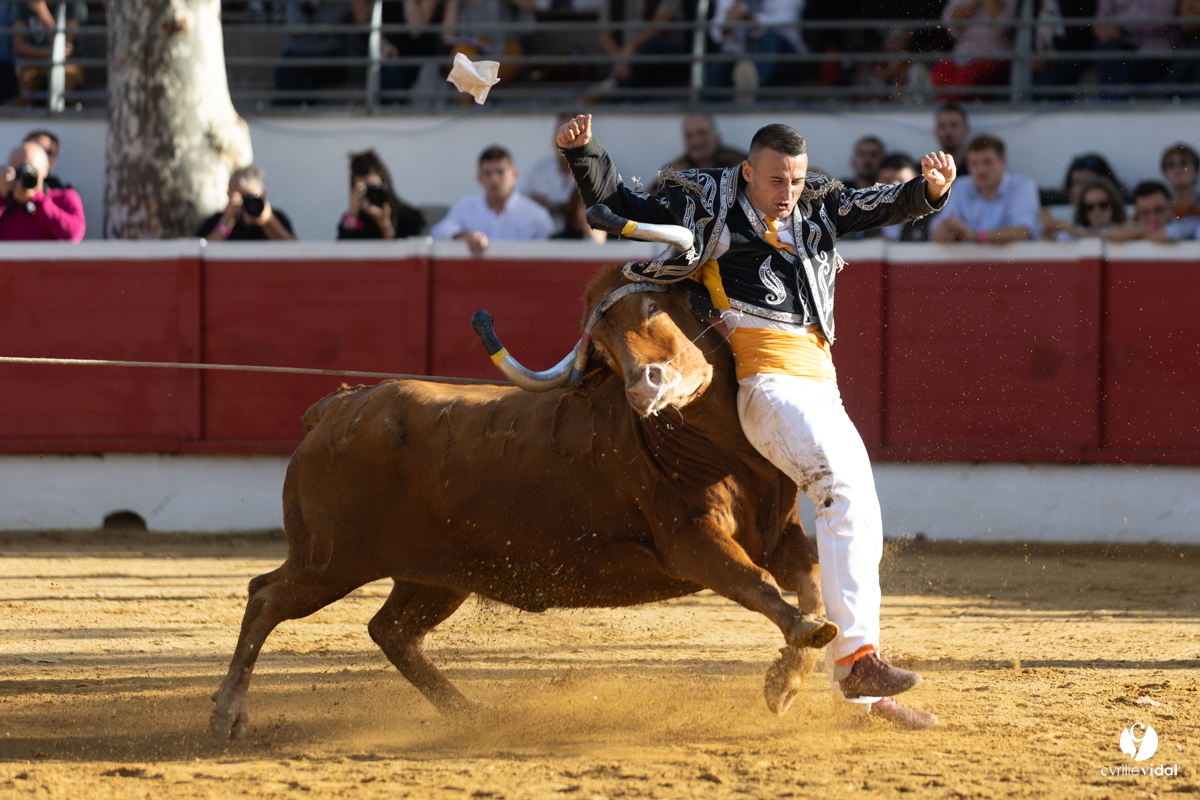 Nogaro Championnat de France de course landaise 2022