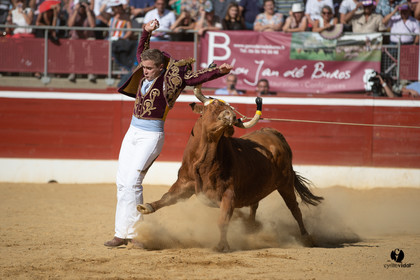 Mont-de-Marsan championnat de France de course landaise 2019