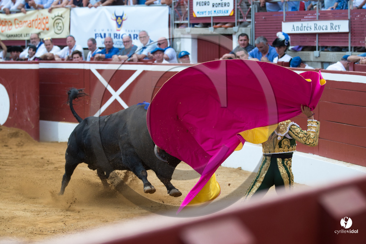 Mont-de-Marsan corrida de Jandilla pour Padilla - Talavante - Roca Rey