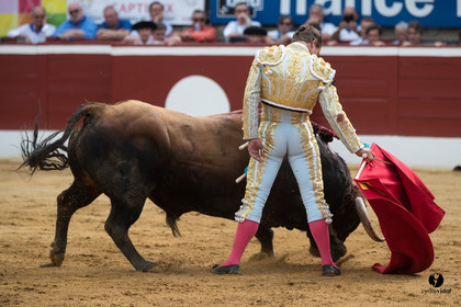 Mont-de-Marsan corrida de Garcigrande pour El Juli et Juan Bautista