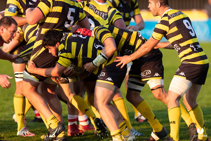 Stade Montois Rugby - Biarritz